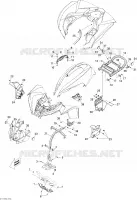 Body And Accessories 3
