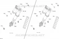 Shocks - LTD