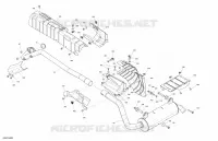 Engine - Exhaust - STD - DPS