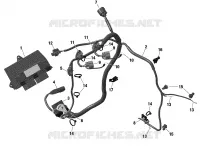 Electrical - Engine Harness / Electronic Module - 600 ACE