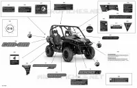 Decals - 800R EFI - XT