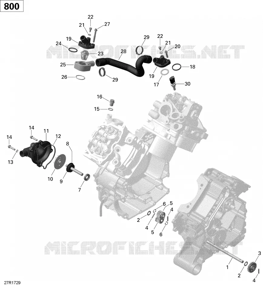 Engine Cooling - 800R EFI