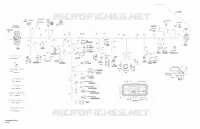 Main Harness Europe LTD