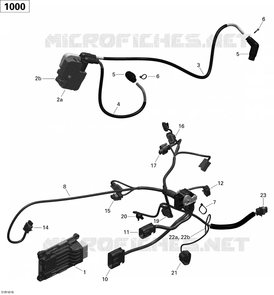 Câblage Moteur et Module Électronique - 1000 EFI_PRO-MAX PRO