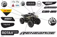 07- Body - Decals