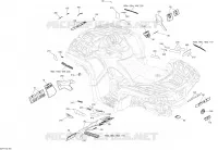 Decals - All Models