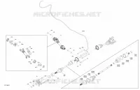 Drive - Rear - Common Parts - NO MAX