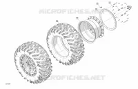 Drive - Rear Wheels - XTP - Except Europe