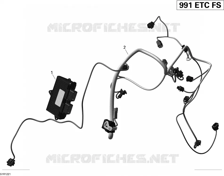 Engine Harness And Electronic Module