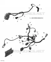 Engine Harness and Electronic Module - 1000R EFI (Renegade XMR)_2
