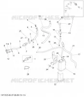 EVAP System - NO CARB _14Y1505n