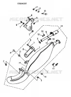 Exhaust System