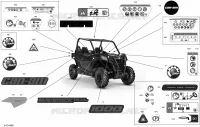 Body - Decals