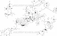 Electrical System - All Models