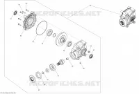 Drive System, Rear _Differential_13C1503b