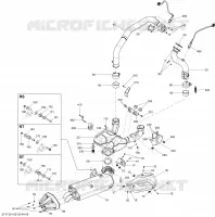 Exhaust System