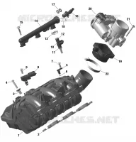 01- ROTAX - Air Intake Manifold And Throttle Body