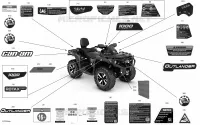 Decals - LTD