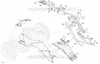 Body - System