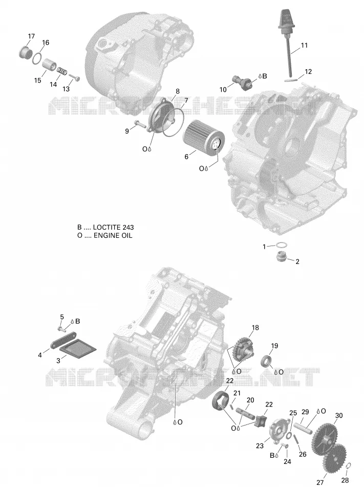 Rotax - Engine Lubrication Version 1