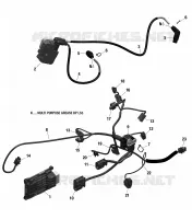 Rotax - Engine Harness And Electronic Module - 211