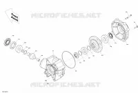 Rear Drive - Differential