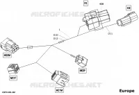 Electrical Harness, Front Section Added Europe