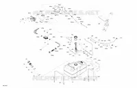 Engine - Fuel - EVAP System