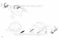 Electric - Vehicle Lighting