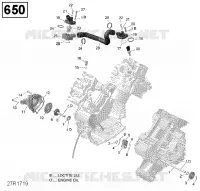 Engine Cooling - 650 EFI
