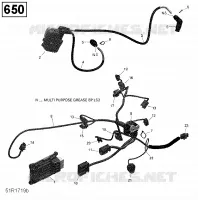 Engine Harness and Electronic Module - 650 EFI (Package North)