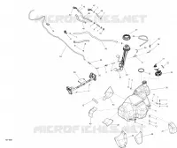 Fuel System - All Models