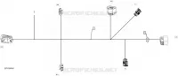 Electrical Harness - Cargo
