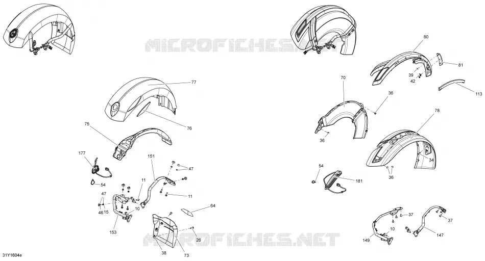 Body And Accessories - Front Fender