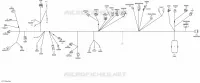 Electrical Harness _Main Harness
