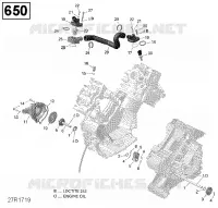 Engine Cooling - 650 EFI