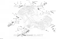 Decals - All Models