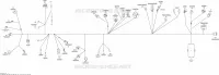 Electrical Harness Main Harness