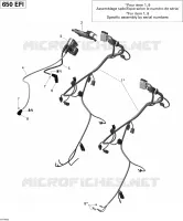 Engine Harness And Electronic Module
