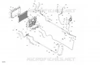 02- Engine - Cooling