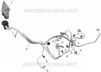 01- ROTAX - Engine Harness And Electronic Module