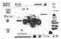 Body - Decals - STD