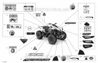 Body - Decals - XXC