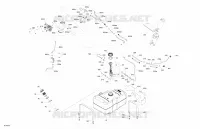 Engine - Fuel - EVAP System