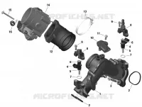01- ROTAX - Air Intake Manifold And Throttle Body