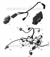 01- ROTAX - Engine Harness And Electronic Module