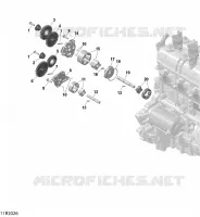 Oil Pump And Oil Pump Drive