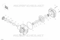 Rear Drive - Differential