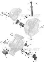 Engine Lubrication