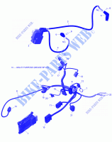 Engine Harness And Electronic Module    V1 for Can-Am OUTLANDER 650 2020
